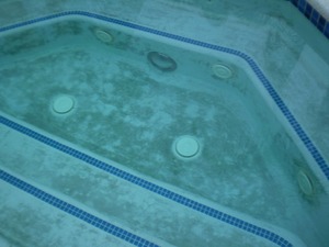 Pool Stains Are Unsightly and Expensive to Resolve…Quick Tips on How to Avoid Them